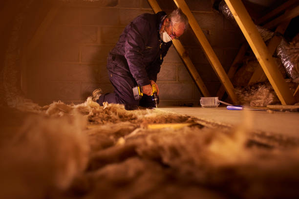 Best Commercial Insulation in Sale Creek, TN